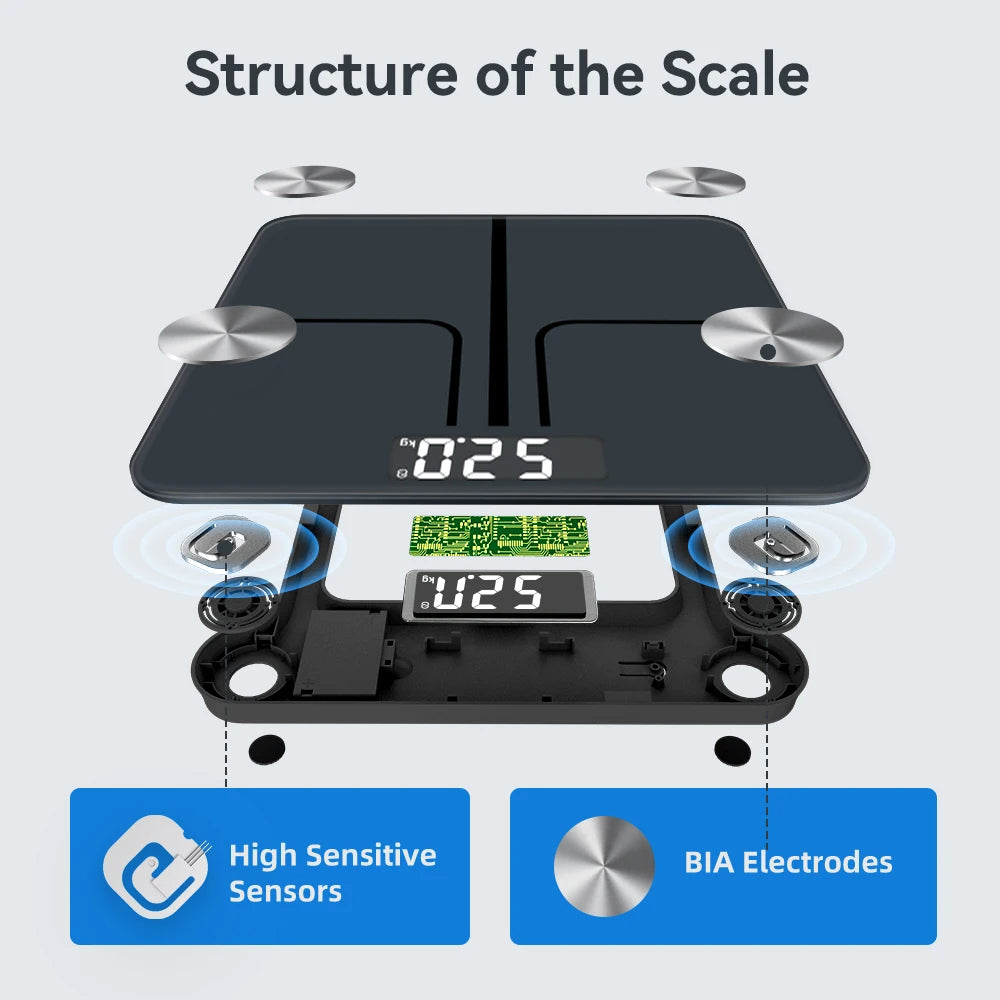 Smart Body Composition Scale with ITO Sensor | 12 Metrics, 0.1 lb Precision, Fitdays Bluetooth App & 400 lb Capacity